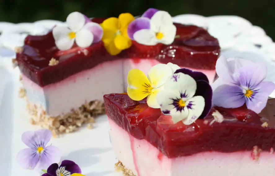 Hero Claudia Nutrition